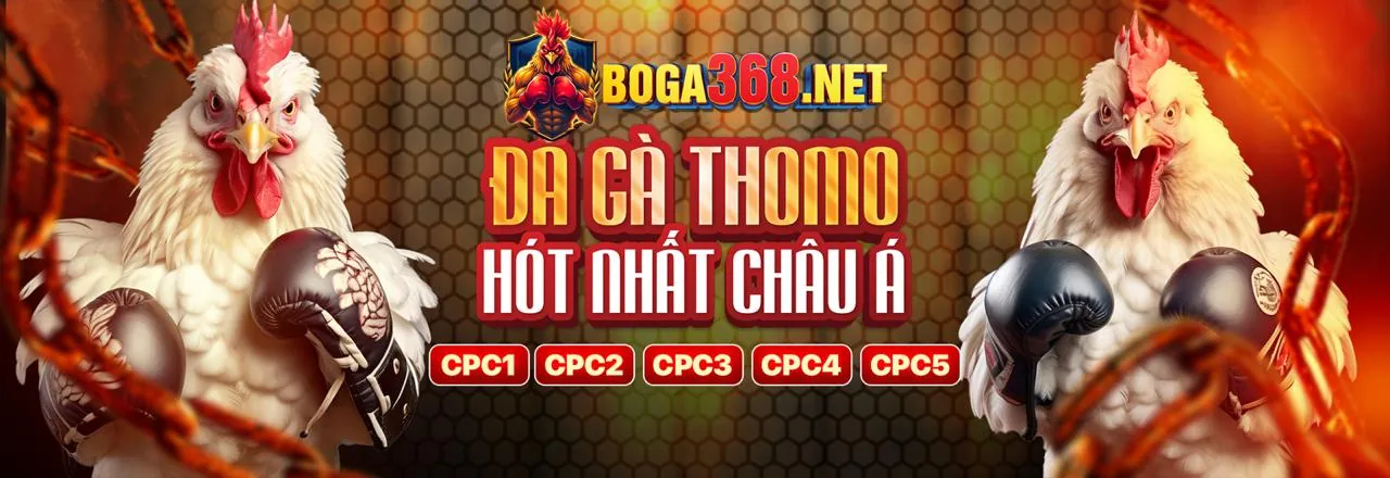 Thưởng chào mừng C8BET