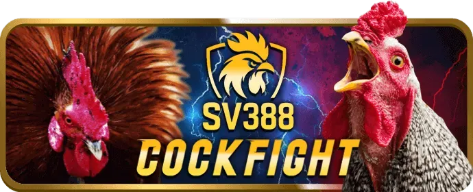Các chương trình khuyến mãi đá gà C8BET
